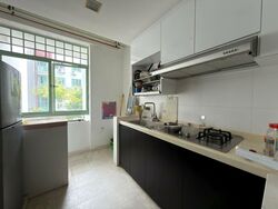 The Sunny Spring (D14), Apartment #516954161